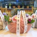 프룻연 이미지