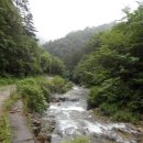 강원관광대우2 이미지