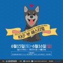 펫페스티벌 이미지