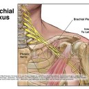 동의서면한의원 이미지