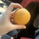카페마일로안락좋은날에드라마여성