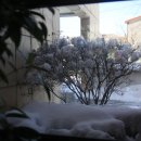 열미리보건진료소 이미지