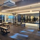 힙핏PT | 옥정여성전용헬스장 힙핏PT플러스 PT3회차 트레이너 강점정리 솔직후기