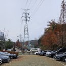 푸르미어린이공원 | [푸르미스포츠센터] 청주 25M 수영장, 자유수영 후기