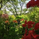 율곡초등학교 병설유치원 이미지