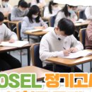 T-플래너스