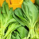 기명농장 이미지