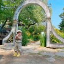 민들레울 이미지