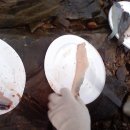 윤호민박 이미지