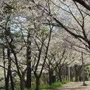 인천광역시농업기계교육관 네이버블로그