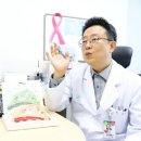 브라카 이미지