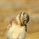 커피박스 이미지