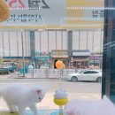 영캣 이미지