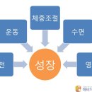 [해비치 한의원][소아 성장] 근육 운동을 하면 키가 안 크잖아요!