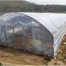 솔향기하우스 이미지