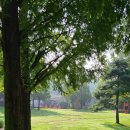 아도니스 호텔 이미지