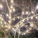 순심이네한우흑돼지 이미지