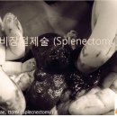 우리애동물병원 이미지