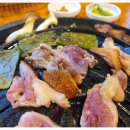 오리한마리 이미지