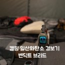 경보종합인쇄 | 캠핑 일산화탄소 경보기 추천｜듀얼 측정 벤딕트 브리드 실사용 후기