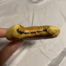 비토섬신우리조트 이미지