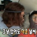 장수복어 이미지