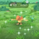 고플레이 | 포켓몬고 마스터리시리즈: 아켄 - 유료티켓 구입 플레이 후기