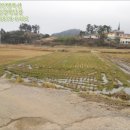 약산면-3 네이버블로그