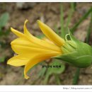 해피데이 이미지