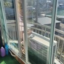 대영부동산공인중개사사무소 이미지