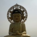 동우약국 Daum카페