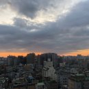 신혼부부 임신준비, 임신전 산전검사 :: 성동구 보건소, 서울시임신출산정보센터