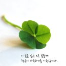 국세청앞 이미지