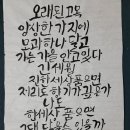 캘리그라피2급 인천계양지구 전수연 이미지