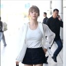 정연