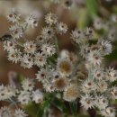 폭시호텔 이미지