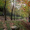 봉무공원야영장 이미지