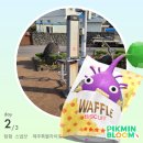 통운카 | 일상 + 제주 혼여 + 수국 여행 + 제1부두 행사 짬뽕잡채밥(스압 주의)