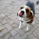 봉다리농장 이미지