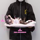 그린트 이미지