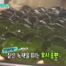 법인전북주