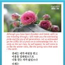오늘의양식 네이버블로그