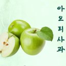 아오리사과 효능 아오리사과 제철 아오리사과 칼로리 보관법 이미지