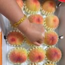 월랑농장 이미지