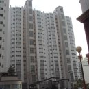 동정동100 이미지