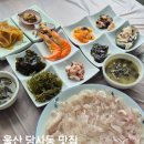 11650-16-114-7 | 울산 우가항 횟집 덕성호횟집 / 정자항에서 배 운영하는 당사동 맛집