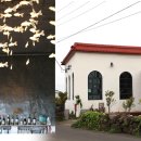 성산 꿈꾸는 이미지