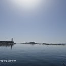 새동해약국 | 속초 배낚시 체험기