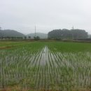 개골농장 이미지