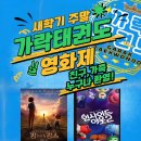 가락태권도 이미지